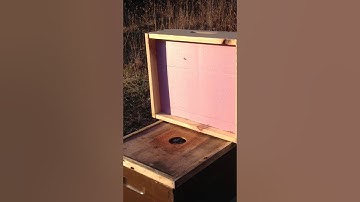 winter insulation for bee colony