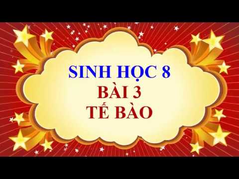 Sinh học 8 bài 3 tế bào | Sinh học lớp 8 – Bài 3 – Tế bào