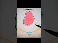 Cut the fruit and collect the juice.#shorts#youtubeshorts#viralshorts