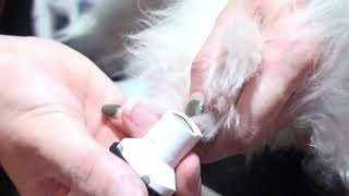 Electric Nail Grinder