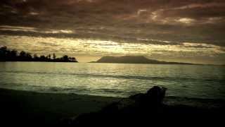 Spring Bay Mill - The Story Begins