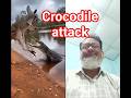 video 03 the crocodile attack #hindisong #remix #dance