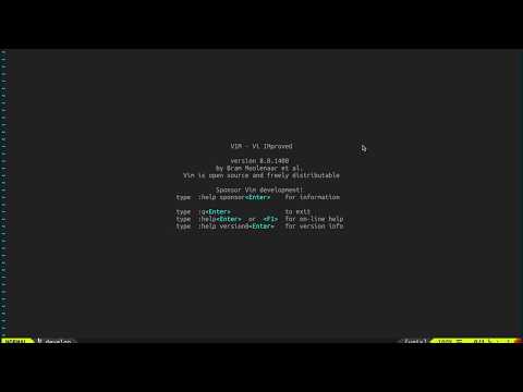 Vimfficiency: Intro!
