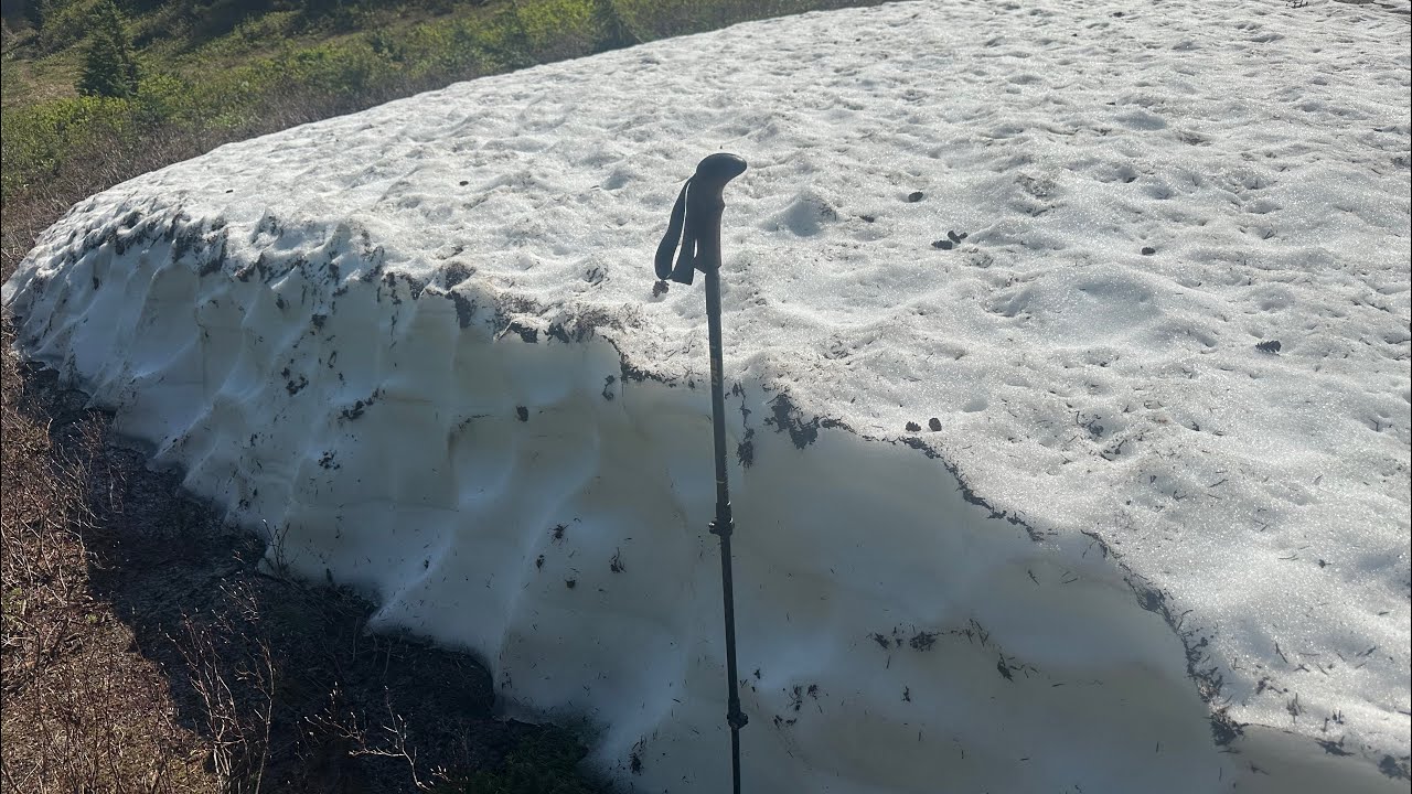 Snow Still Big T on the PCT 2024 - Day 11 - Lots of snow still! - YouTube