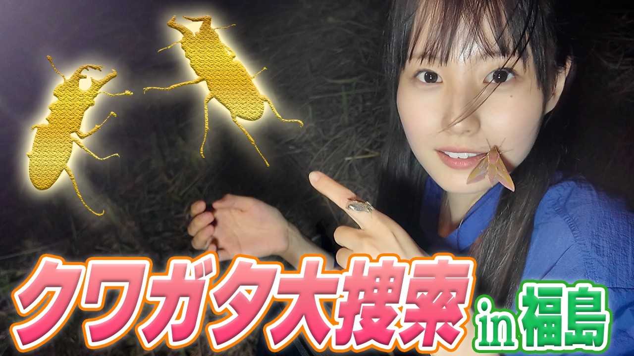 野生のミヤマクワガタをとりたい！in福島県田村市クワガタサミット