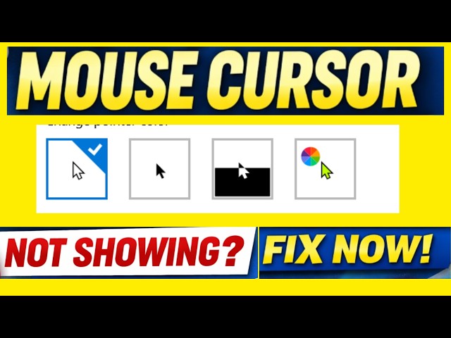 step-by-step mouse pointer not showing up fix checklist Windows 10 11