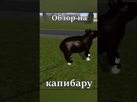Обзор на капибару! 🐹🦦 #short #shorts #simplecarcrash