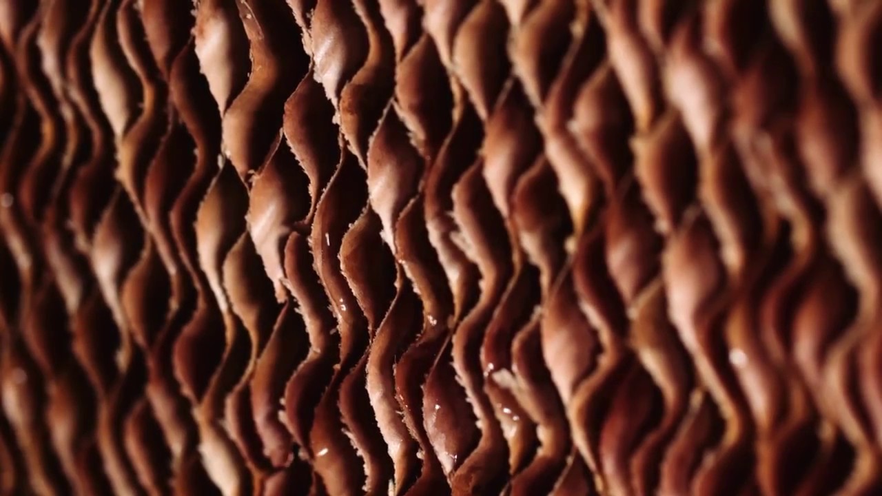 What Is Evaporative Cooling?