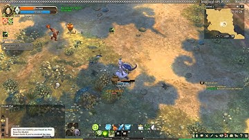 International Tree of Savior CBT2 Priest