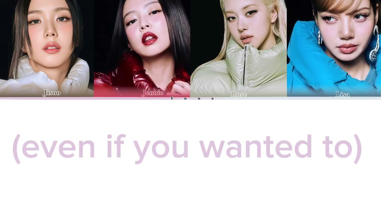 Champion blackpink color coded 