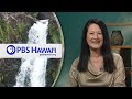 Danger on the Roads | INSIGHTS on PBS Hawaiʻi