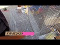 BIRD CAGE RECENT PRICE AT GALIFF STREET PET MARKET KOLKATA WEST BENGAL INDIA | 7TH MARCH 2021 VISIT