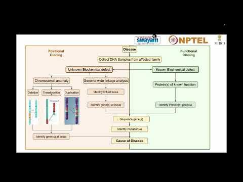 human molecular genetics nptel assignment answers 2022