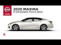 2020 Nissan Maxima S Walkaround & Review