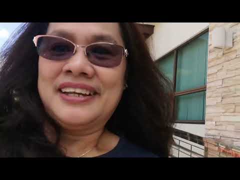 Free plants. Thankful #viralvideo #trendingvideo #brunei #plants