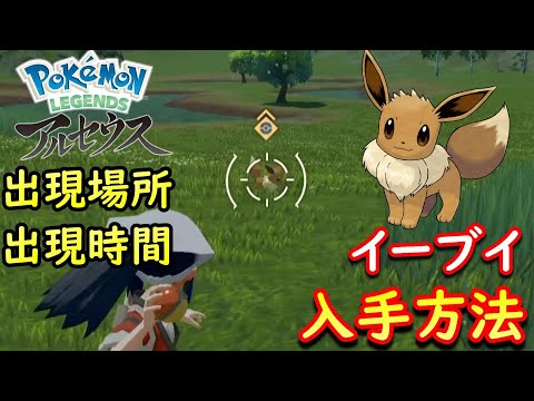 イーブイ入手方法を解説 出現場所や出現時間も判明 Pokemon Legends アルセウス Youtube