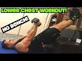 Intense 5 Minute Dumbbell Lower Chest Workout