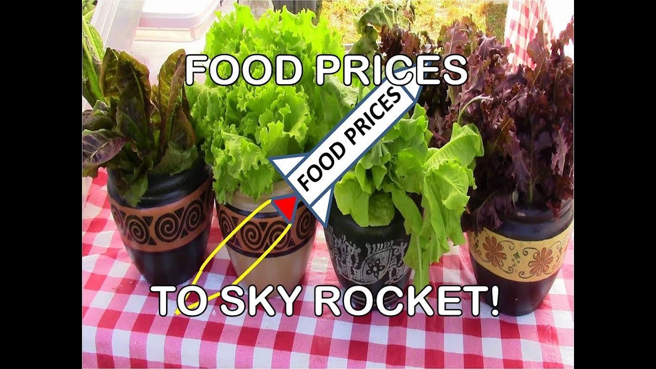 Food Prices Set To Sky-Rocket!