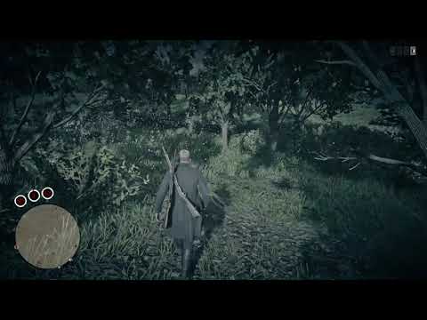 Red Dead Redemption 2 Online Localizacao Da Asclepia Youtube