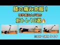 【膝の痛みを治す筋トレ】研究データあり！理学療法士が必要な運動だけを厳正