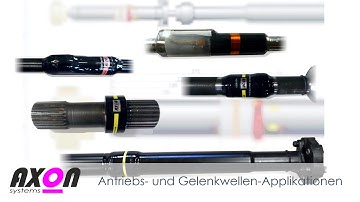 AXON Systems   Imagevideo