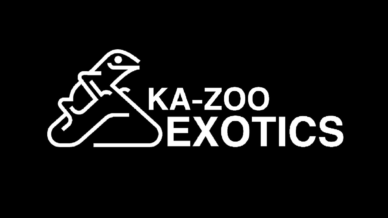 KA-ZOO EXOTICS - Pet Shop Eastbourne - BIG ANNOUNCEMENT !!!