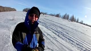 Хаски и  лыжи равняется скиджоринг Катаемся по полям