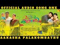 Aakasha Palakombathu Official Audio 🎶 | Aakashamittayee