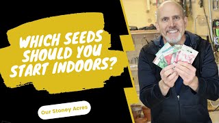 Which Seeds Should You Start Indoors?