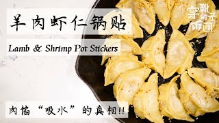 羊肉虾仁锅贴-肉馅&quot;吸水&quot;的真相！Lamb and Shrimp Pot Stickers 