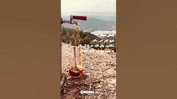 سلام صبح بخیر 