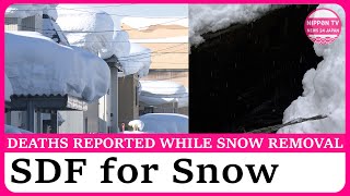 Heavy Snowself Defense Force Requested In Aomori For First Time In 21 Years , And Accidents Too