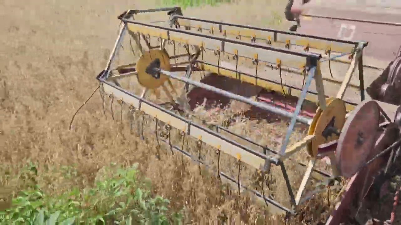 Combining neighbor's  7 acres of oats.