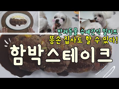 반려동물 수제간식 함박스테이크 만들기ㅣ집사의레시피 펫밀키트ㅣ댕댕이 간식ㅣMaking Handmade Snacks for Pet Hamburger Steak