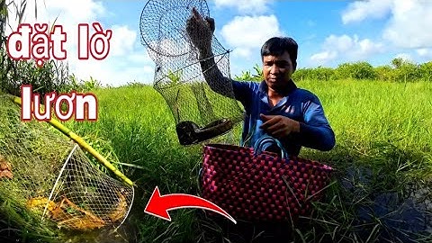 Cách tôi làm mồi,, ĐẶT LỜ,,bắt lươn khủng @Stvuheo 