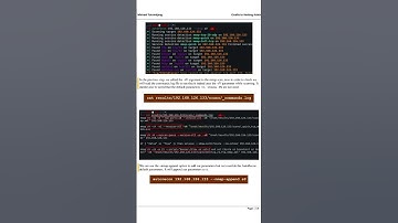 🕵️ Network Reconnaissance