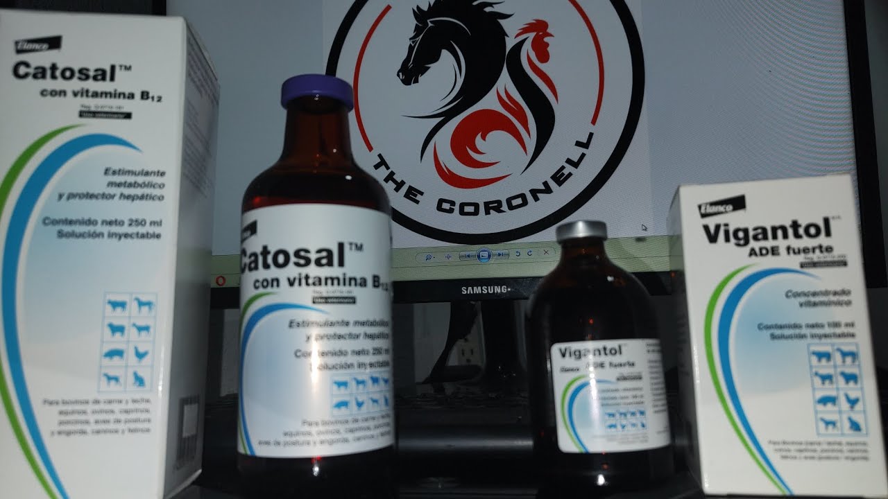 Medicamentos en Pelecha, pluma en gallos