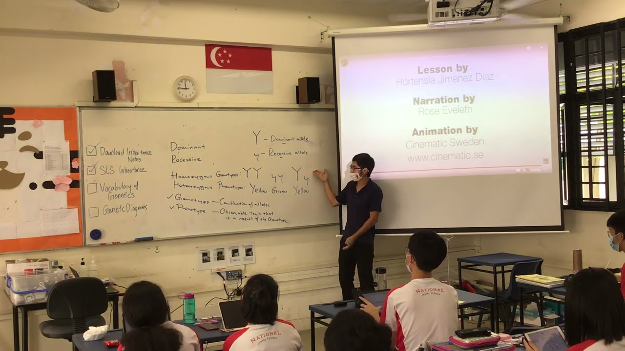 JH403 Genetic Vocabulary and Drawing Genetic Diagrams