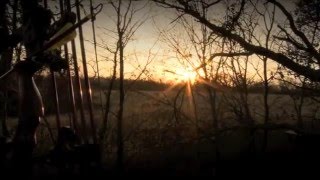 Paul Bogart - Bringin It Home