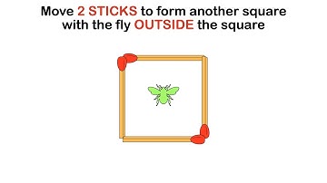 Move 2 STICKS to form another square with the fly OUTSIDE the square || Matchstick Puzzle