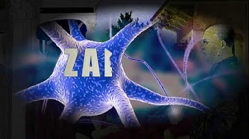 1 - KIT-Z Biotin Intro