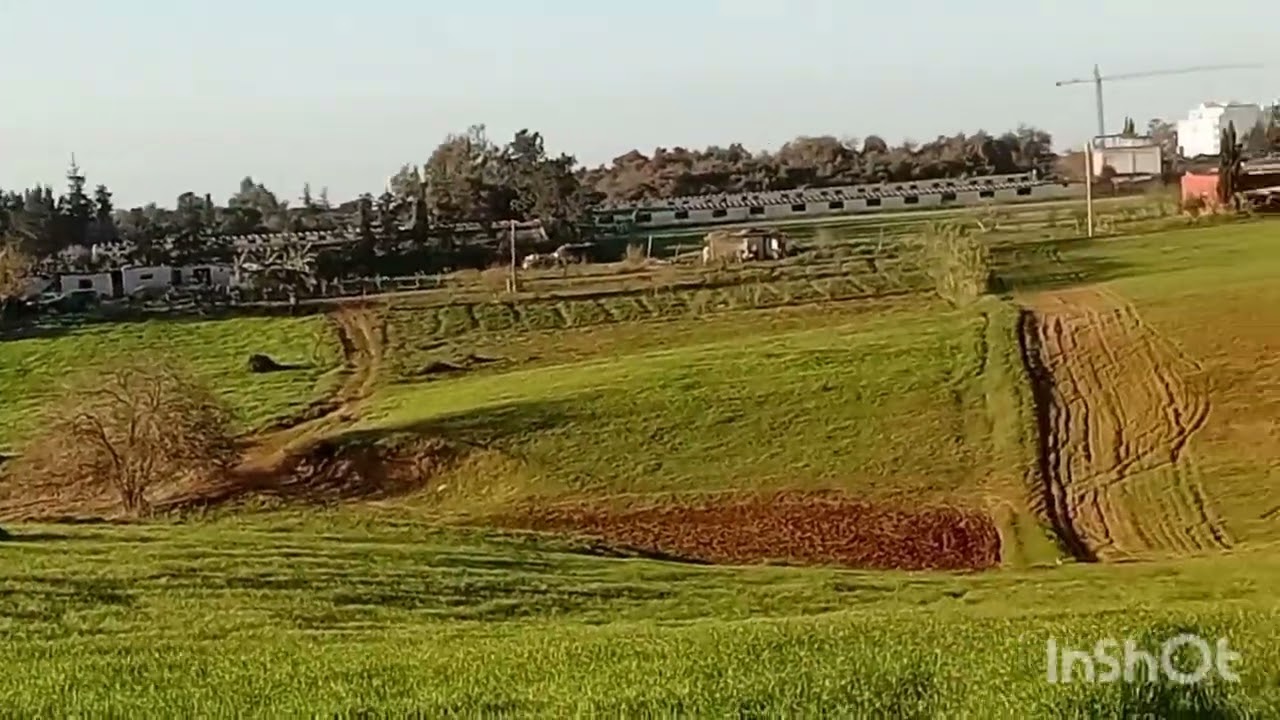 كيف أصبحت الفلاحة بعد المطر