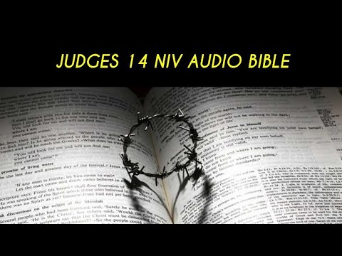 JUDGES 14 NIV AUDIO BIBLE (with text) - YouTube