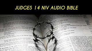 JUDGES 14 NIV AUDIO BIBLE (with text)