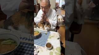 #住職の朝ごはん きつねうどん #猫 #猫のいる暮らし #那須の長楽寺
