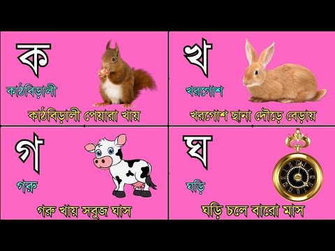 ক খ গ ঘ ঙ বাংলা ব্যঞ্জনবর্ণ দিয়ে শব্দ গঠন ও বাক্য গঠন | Bengali