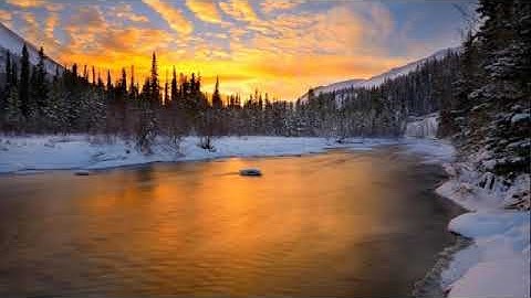 ( تكاد السموات يتفطرن من فوقهن ) تلاوة من سورة الشورى _ بشير عبدالله