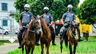 Cavalaria da Policia Militar em Pindamonhangaba