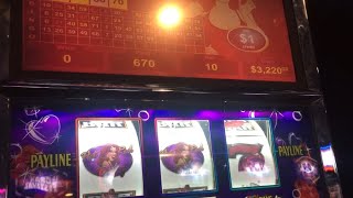 Celebrity 🚨Jackpot 🚨VGT🎰Hot red Ruby’s /on max bet❗️#winstarelite Profile