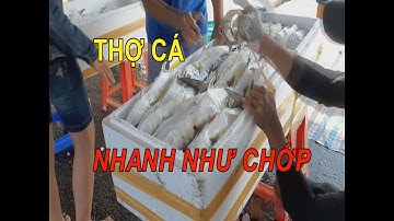 Đây là những thợ cá giỏi nhất cảng cá Trần Đề|STV Khám phá